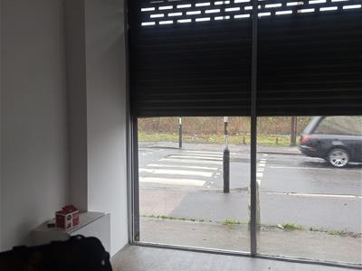 Picture 11